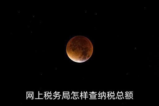 國稅局如何查稅，網(wǎng)上稅務(wù)局怎樣查納稅總額