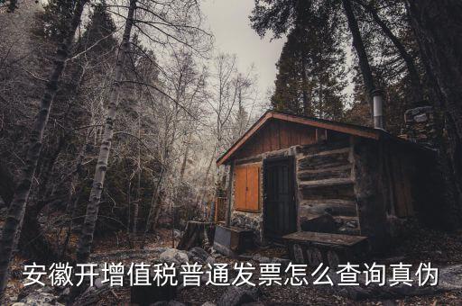 安徽省如何查稅票真假，安徽開增值稅普通發(fā)票怎么查詢真?zhèn)?/></a></span><span id=