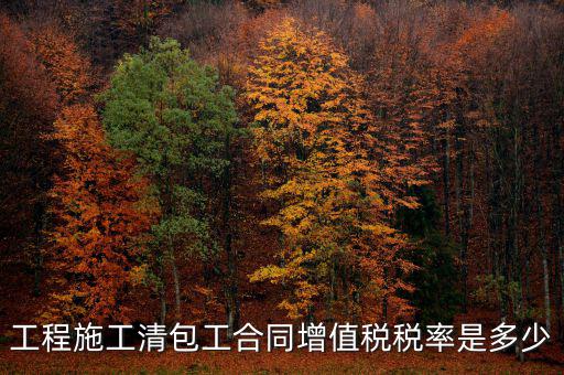 清包工 如何稅務(wù)，一般納稅人去國稅說明是清包工怎么寫說明