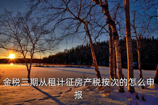 金稅三期如何申報房產稅，金稅三期 個稅 生產經營所得怎么申報