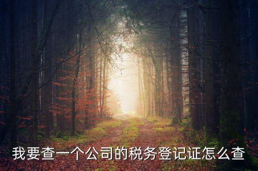 如何查企業(yè)的稅務(wù)登記證號，公司的稅務(wù)登記證號怎么查詢