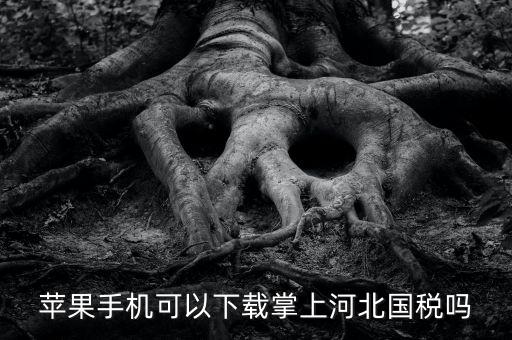 河北掌上國稅如何注冊，蘋果手機可以下載掌上河北國稅嗎