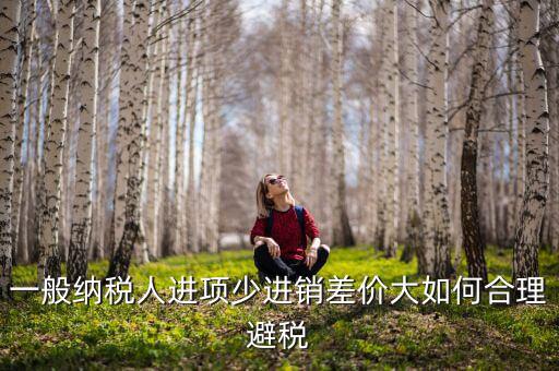 一般納稅人進項少進銷差價大如何合理避稅