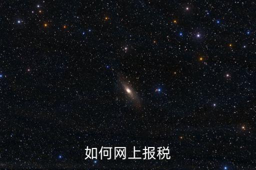 如何網上報稅