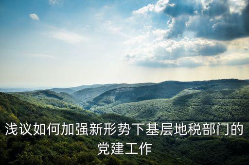 國地稅改革如何做好基層工作，淺議如何加強新形勢下基層地稅部門的黨建工作