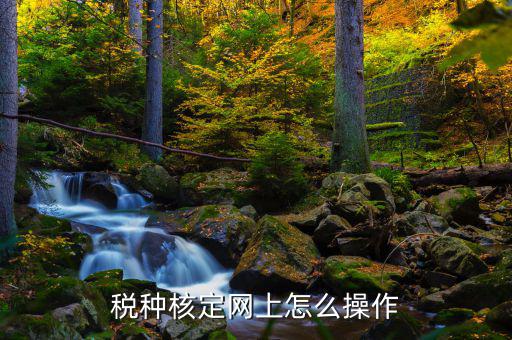 稅種核定網上怎么操作