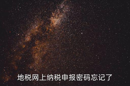 網(wǎng)報(bào)如何復(fù)制密碼，地稅網(wǎng)上納稅申報(bào)密碼忘記了