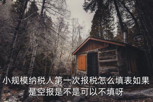 如何填寫首次辦稅補充信息表，稅務(wù)登記補充信息采集表怎么填 誰知道啊