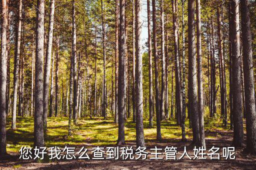 如何查稅務(wù)管理所，怎么才能查到各地工商局的稅務(wù)證登記