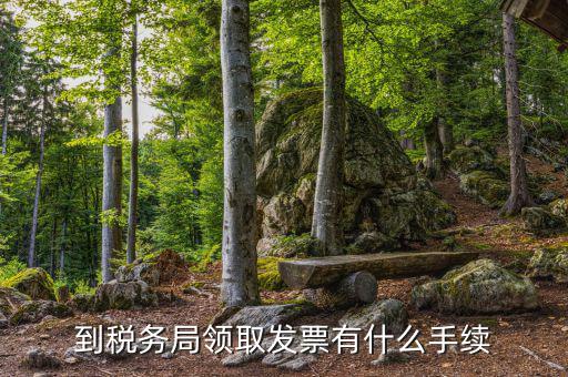 到稅務局領(lǐng)取發(fā)票有什么手續(xù)