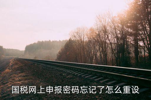 網(wǎng)上稅務(wù)局登錄密碼如何重置，國(guó)稅網(wǎng)上申報(bào)密碼忘記了怎么重設(shè)