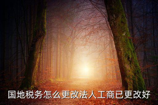 國(guó)地稅務(wù)怎么更改法人工商已更改好