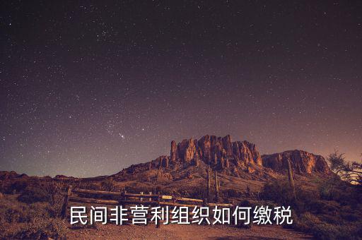 非營利組織如何納稅，民間非營利組織如何繳稅