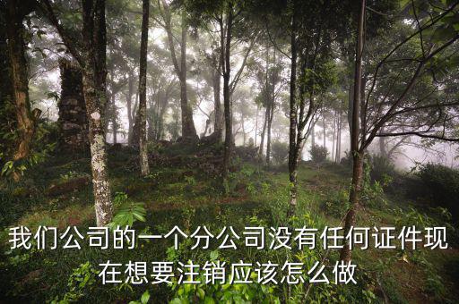 外管證不見了如何注銷，注銷外管證沒帶公司章可以嗎