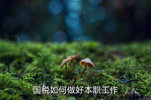 科室如何做好國稅風險應對工作，國稅如何做好本職工作
