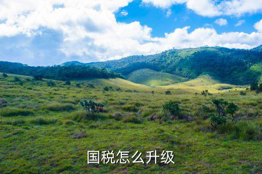 國(guó)稅系統(tǒng)如何適應(yīng)新時(shí)代，如何做好新形勢(shì)下的國(guó)稅工作
