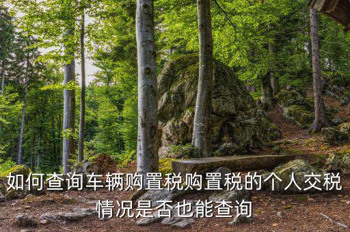 如何查汽車購(gòu)置稅，我想查查我的車輛購(gòu)置稅是多少怎么查