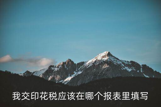 網(wǎng)上印花稅表如何填寫，印花稅申報報表要怎么填啊
