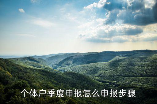 個(gè)體戶如何季度申報(bào)表，個(gè)體戶每個(gè)季度怎樣報(bào)稅