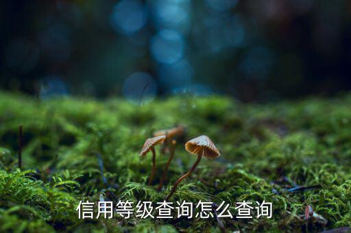 外管局信用等級(jí)查詢?nèi)绾尾樵?，信用等?jí)查詢?cè)趺床樵?/></a></span><span id=
