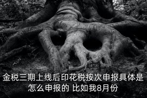 金稅三期如何填報印花稅表，印花稅申報報表要怎么填啊