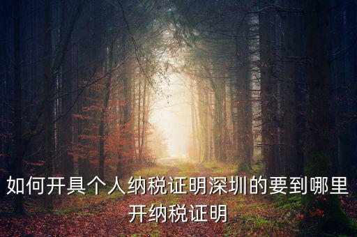 如何開地方稅務(wù)局納稅證明，地稅證明怎么開