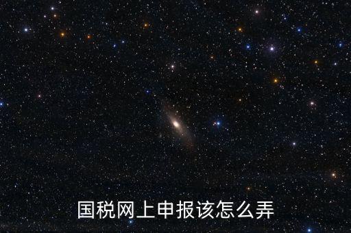 國(guó)稅新系統(tǒng)如何申報(bào)，國(guó)稅網(wǎng)上申報(bào)該怎么弄