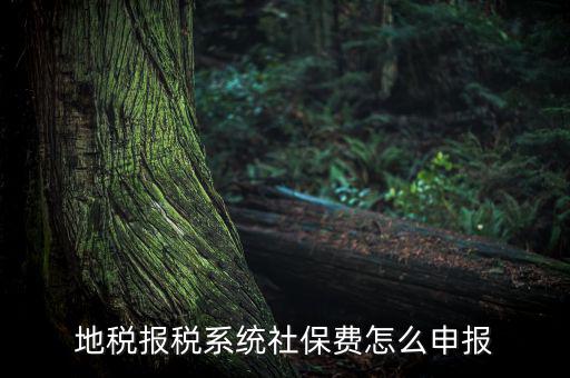 地稅如何申報社保嗎，地稅報稅時社保怎么填