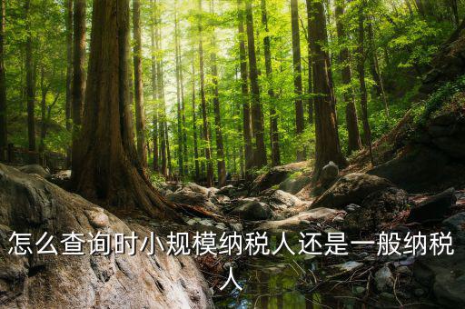 如何查詢成為納稅人時間，怎么查詢時小規(guī)模納稅人還是一般納稅人