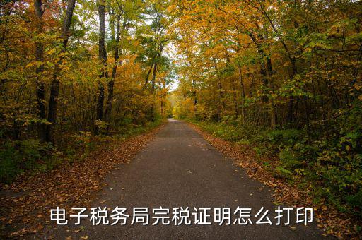福建省網(wǎng)上稅務(wù)局如何打印，電子稅務(wù)局完稅證明怎么打印