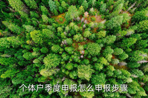 個(gè)體戶(hù)季度申報(bào)怎么申報(bào)步驟