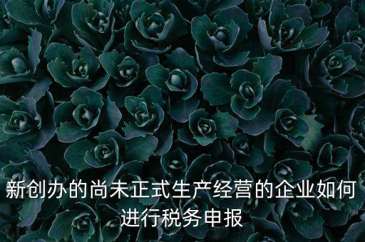 新創(chuàng)辦的尚未正式生產經營的企業(yè)如何進行稅務申報