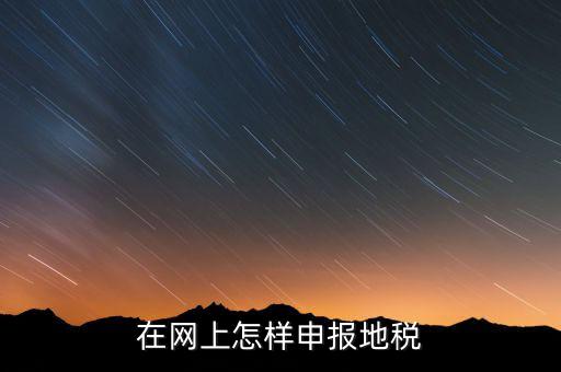 在網(wǎng)上怎樣申報地稅