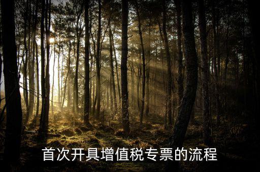 如何申請增值稅專票，怎么申辦專用發(fā)票