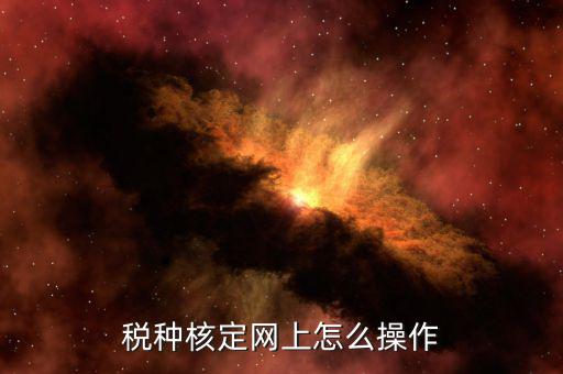 如何稅局網(wǎng)站上開通稅種，稅種認定在電子稅務(wù)局怎么操作