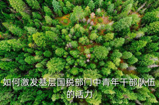 稅務(wù)如何激發(fā)干部活力，如何激發(fā)稅務(wù)干部的創(chuàng)新積極性