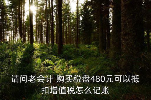 請(qǐng)問老會(huì)計(jì) 購(gòu)買稅盤480元可以抵扣增值稅怎么記賬