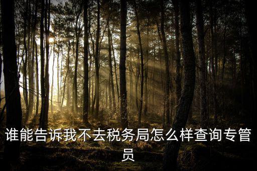 誰能告訴我不去稅務局怎么樣查詢專管員