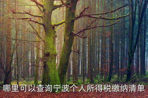 寧波個人納稅如何查詢，哪里可以查詢寧波個人所得稅繳納清單
