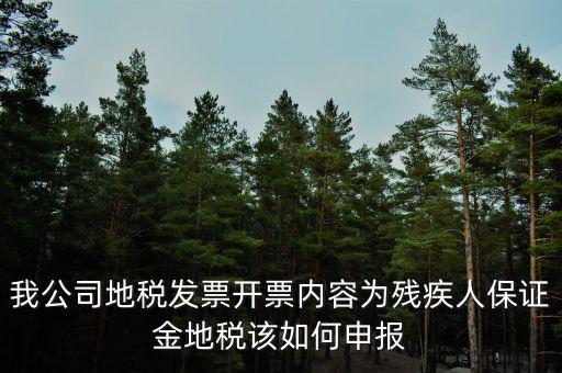 我公司地稅發(fā)票開票內(nèi)容為殘疾人保證金地稅該如何申報(bào)