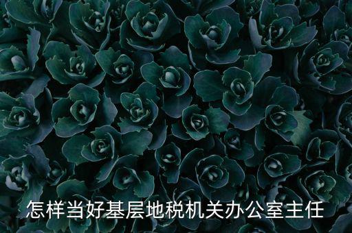 稅務(wù)部門(mén)如何抓好主體責(zé)任，如何做好稅收法規(guī)工作