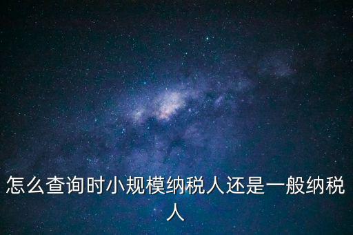 電子稅務(wù)局如何查看正常戶(hù)，怎么查詢(xún)時(shí)小規(guī)模納稅人還是一般納稅人