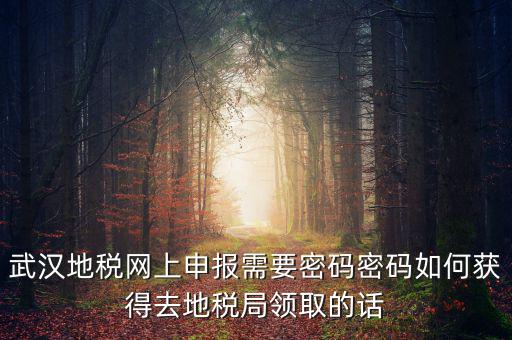 武漢地稅網(wǎng)上申報需要密碼密碼如何獲得去地稅局領(lǐng)取的話