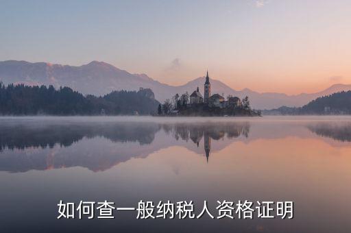 如何查一般納稅人資格，如何查一般納稅人資格證明