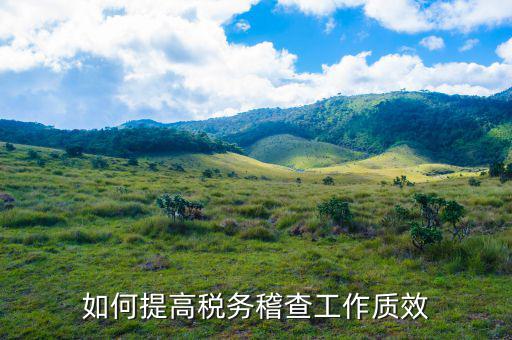 如何提高國(guó)稅稽查工作質(zhì)效，如何提高稅務(wù)稽查工作質(zhì)效