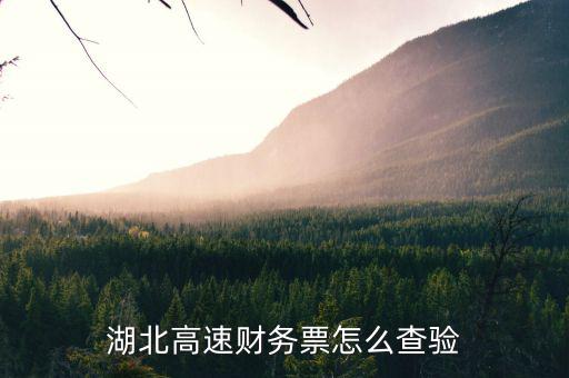 湖北地區(qū)如何網(wǎng)上查詢發(fā)票真?zhèn)?，湖北省通用定額發(fā)票查詢真?zhèn)尾樵?/></a></span><span id=