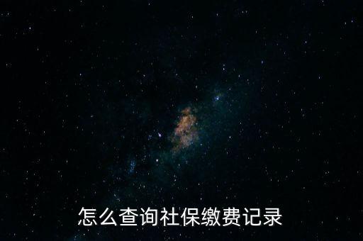 如何在地稅網(wǎng)繳納社保查詢，單位交了社保費(fèi)在地稅網(wǎng)怎么查詢