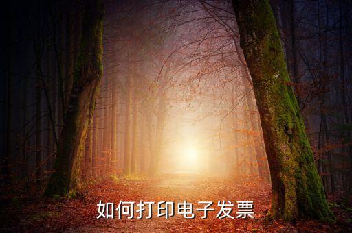 如何將電子發(fā)票，發(fā)票怎么以電子形式發(fā)給
