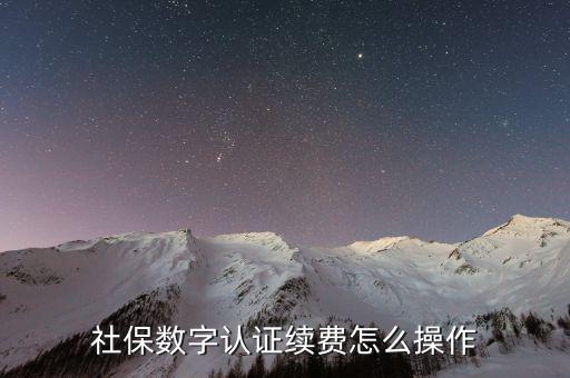 數(shù)字證書如何續(xù)費，社保和公積金的數(shù)字證書到期怎么續(xù)費啊