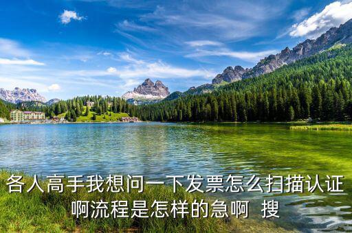 如何掃描認證發(fā)票，各人高手我想問一下發(fā)票怎么掃描認證啊流程是怎樣的急啊  搜